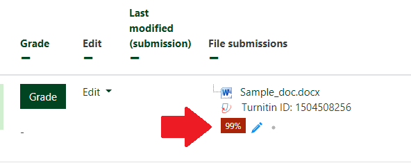 View Turnitin Reports